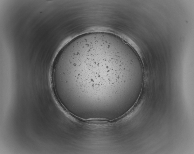 X0000111940997200908101158