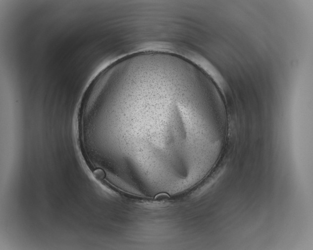 X0000111940999200908101158