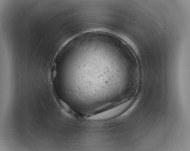 X0000111941001200908101158