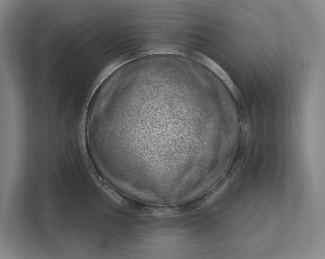 X0000111941002200908101158