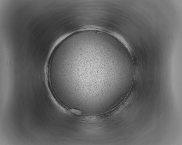 X0000111941003200908101158