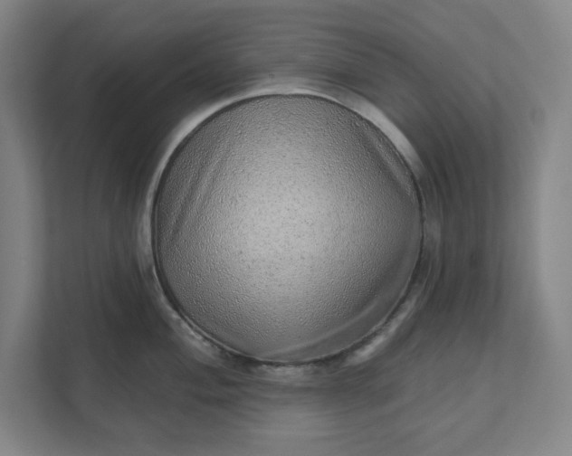 X0000111941004200908101158