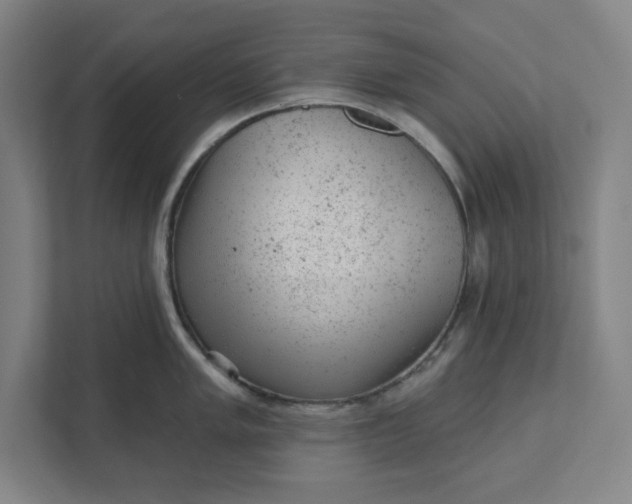 X0000111941005200908101158