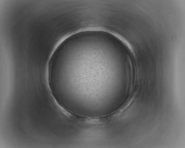 X0000111941006200908101158