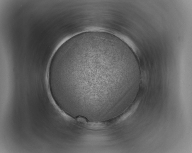 X0000111941007200908101158