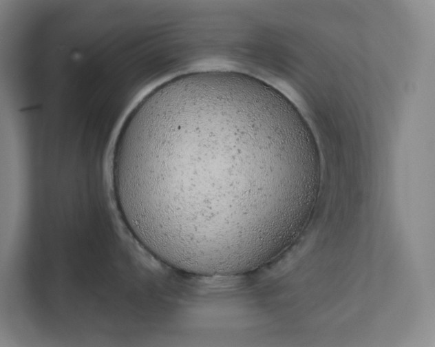 X0000111941008200908101158