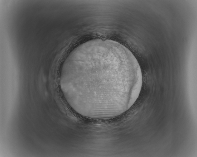 X0000111941009200908101157