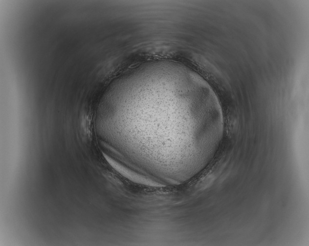 X0000111941010200908101157