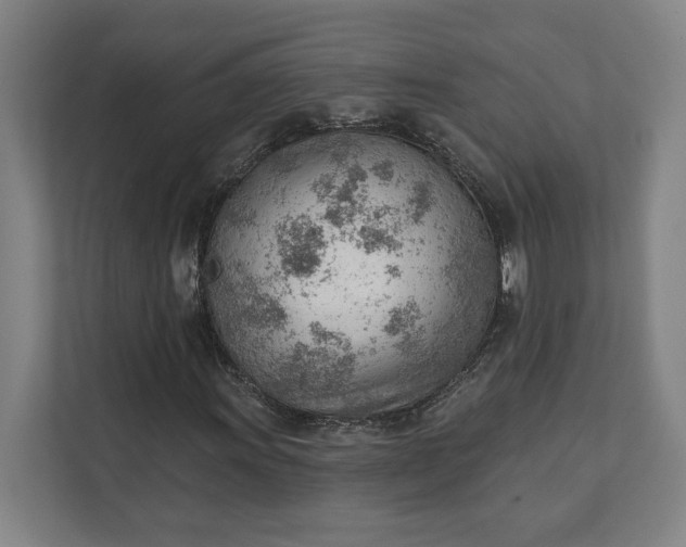 X0000111941011200908101157