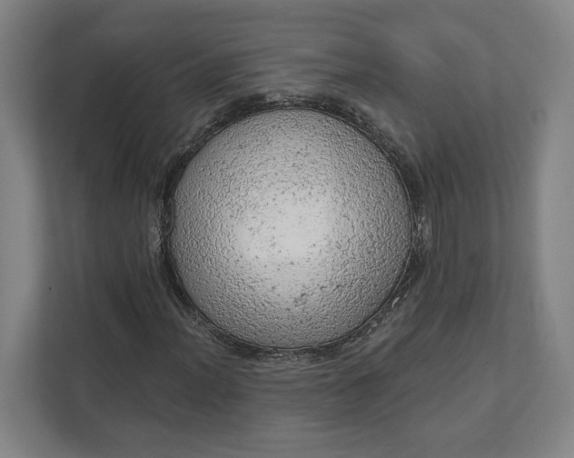 X0000111941012200908101157