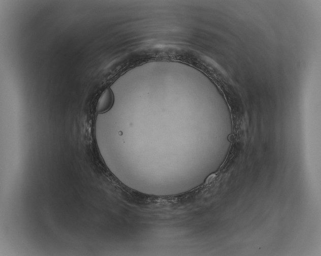 X0000111941013200908101157