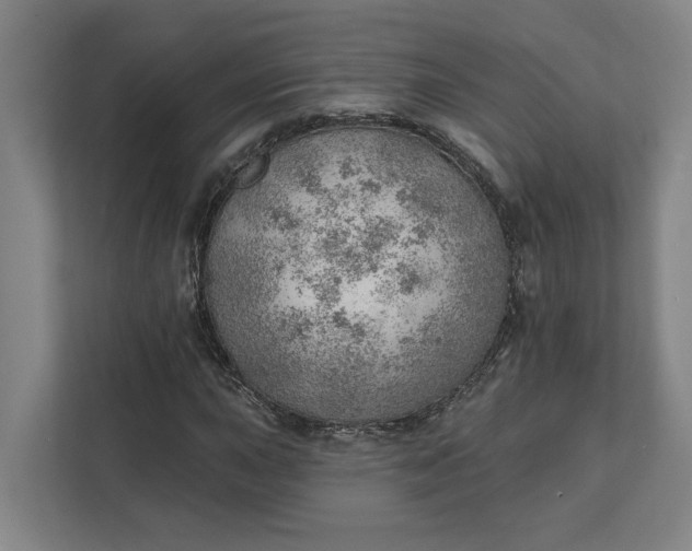 X0000111941015200908101157