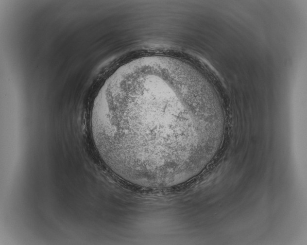 X0000111941016200908101157