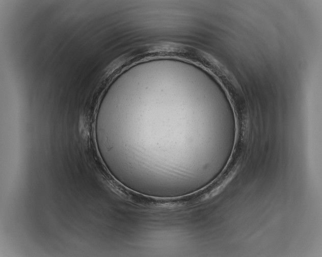 X0000111941017200908101157