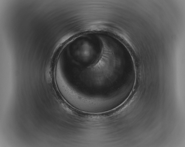 X0000111941018200908101157