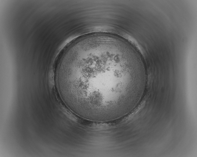 X0000111941019200908101157