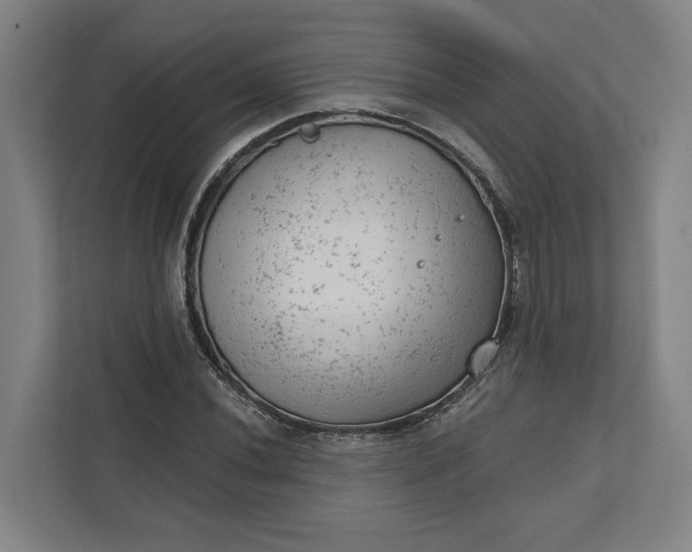 X0000111941020200908101157