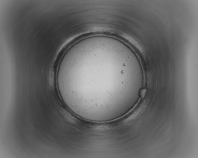 X0000111941021200908101157