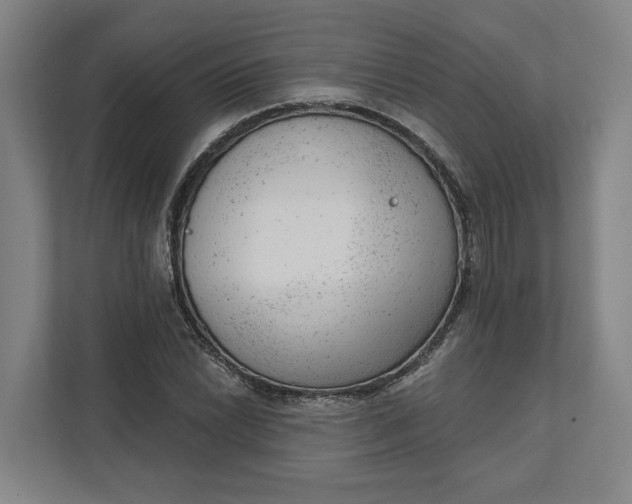 X0000111941022200908101157