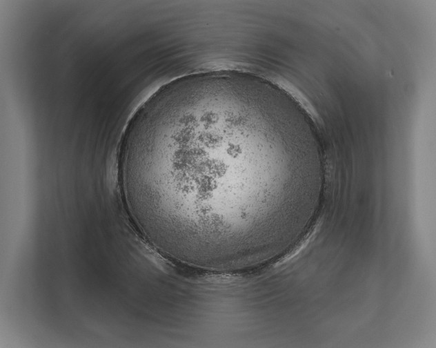 X0000111941023200908101157