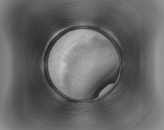 X0000111941024200908101157