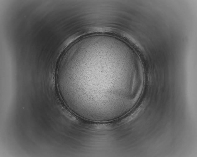 X0000111941025200908101157