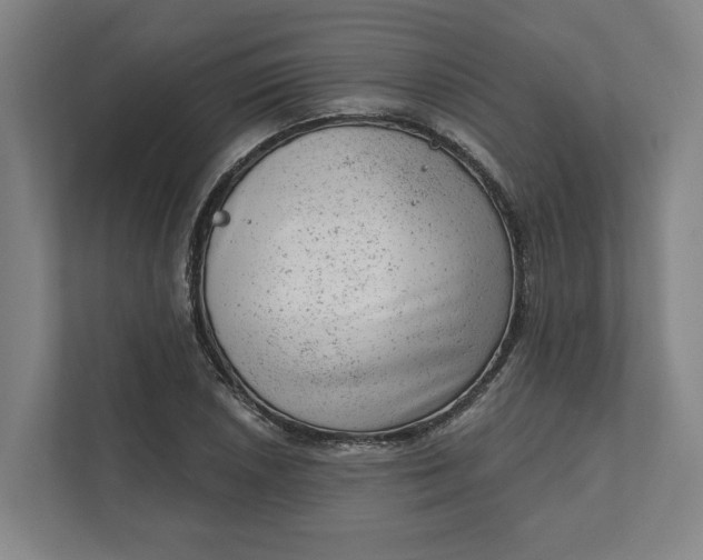 X0000111941026200908101157