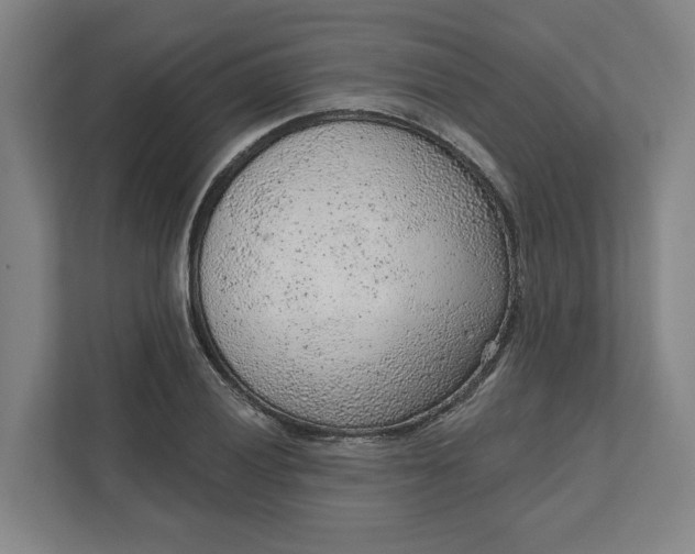 X0000111941028200908101157