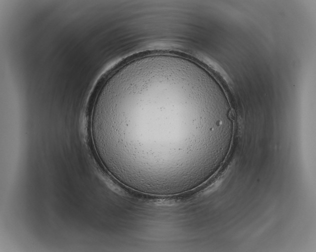 X0000111941029200908101157