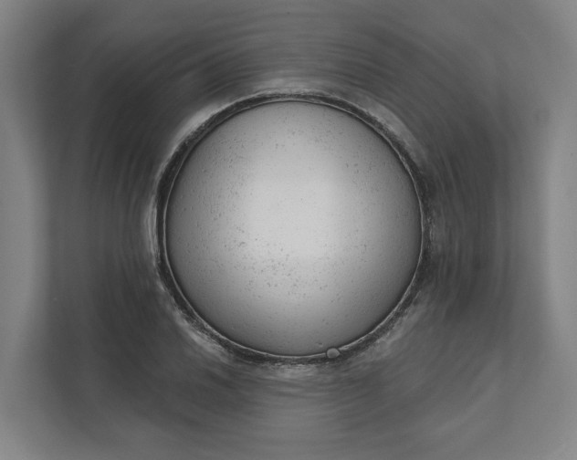 X0000111941030200908101157