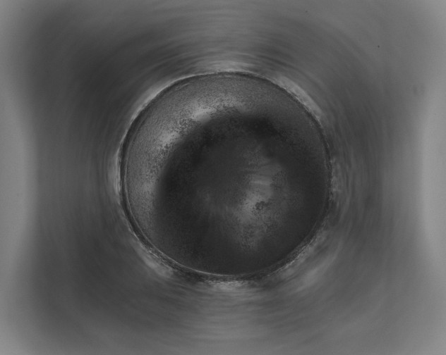 X0000111941031200908101157