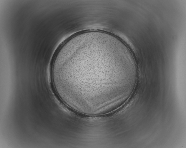 X0000111941032200908101158