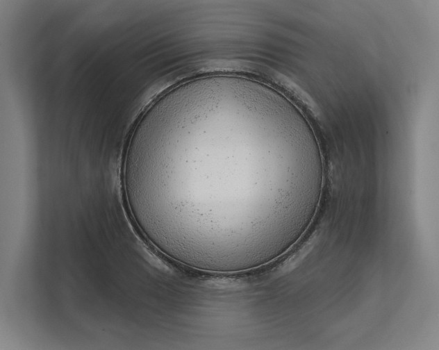 X0000111941033200908101158