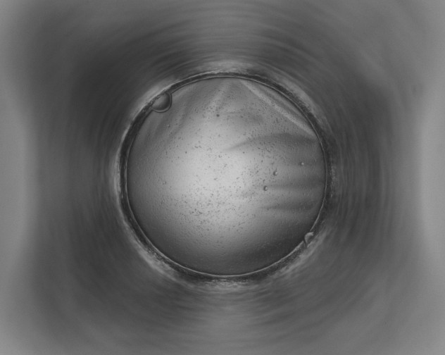 X0000111941034200908101158