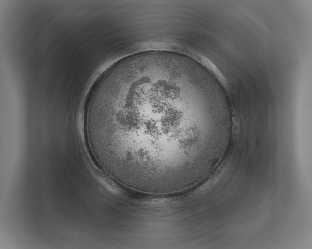 X0000111941035200908101158