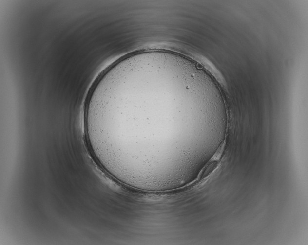 X0000111941036200908101158