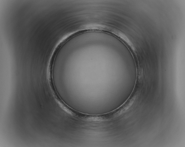 X0000111941037200908101158