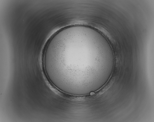 X0000111941038200908101158