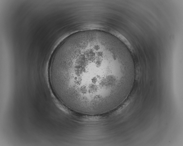 X0000111941039200908101158