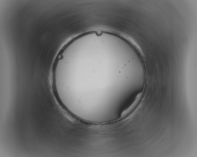 X0000111941040200908101158