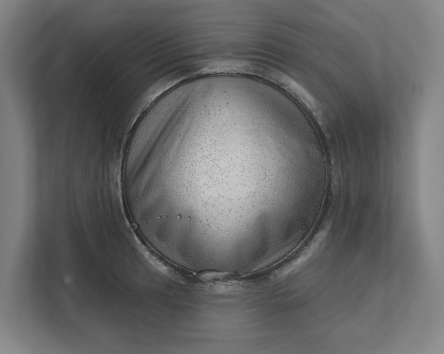 X0000111941041200908101158