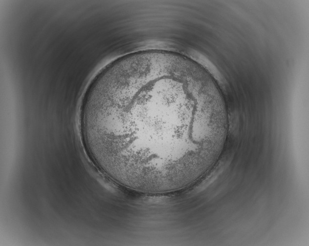 X0000111941043200908101158