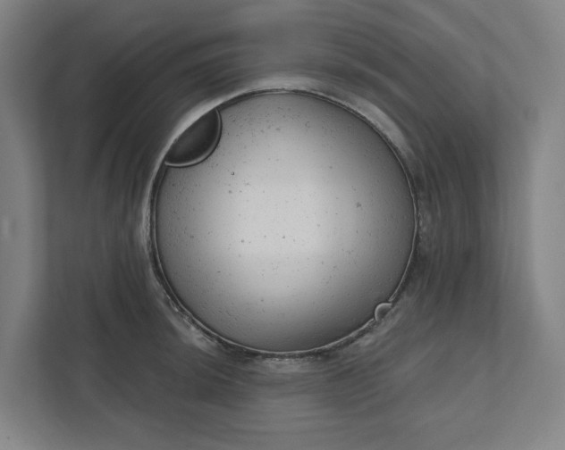 X0000111941044200908101158