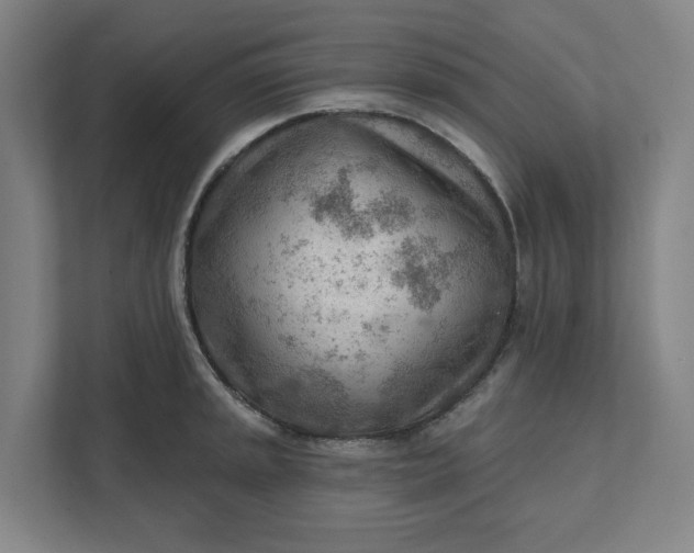 X0000111941045200908101158