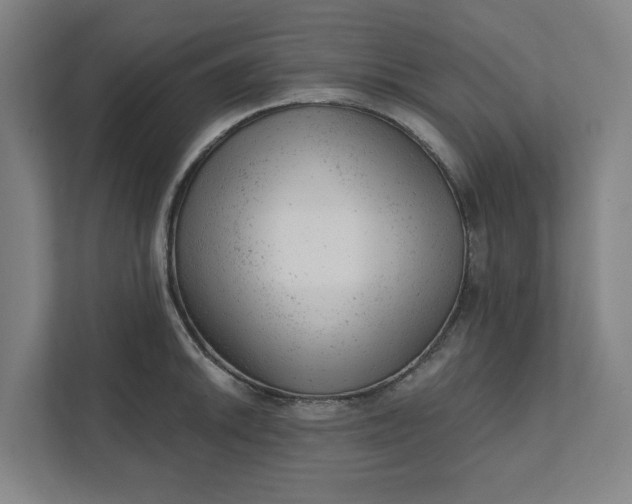 X0000111941046200908101158