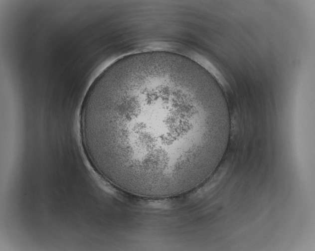 X0000111941047200908101158