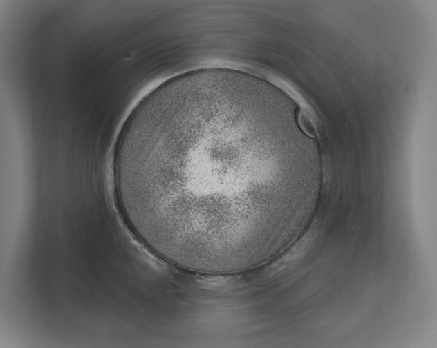 X0000111941048200908101158