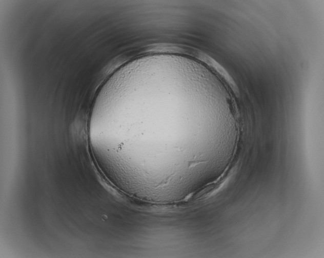 X0000111941049200908101158