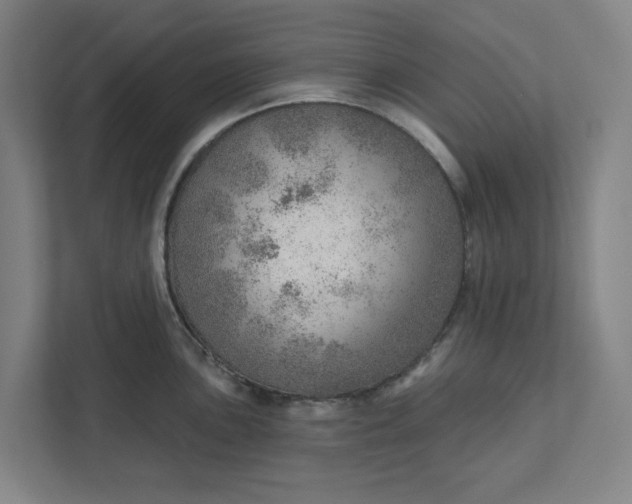 X0000111941051200908101158