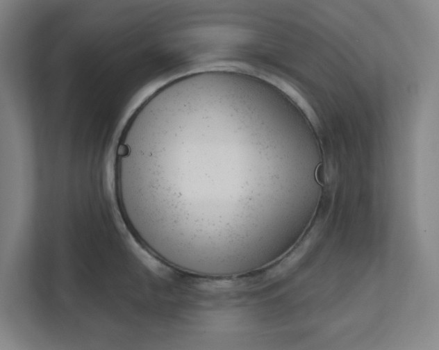 X0000111941054200908101158